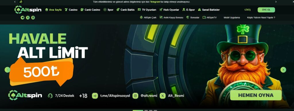 altspin inceleme